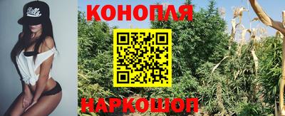 мдпв Кудрово