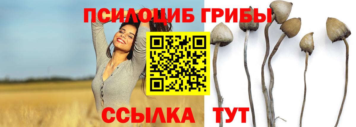 Вичуга  Псилоцибиновые грибы GOLDEN TEACHER  Вход с VPN  Галлюциногенные грибы ЛСД 